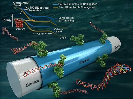 Gprahene Ultra-Sensitive Electrical Biosensor Unlocks Potential For Instant Diagnostic