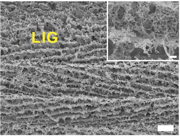 A scanning electron microscope shows a close-up of laser-induced graphene foam produced by researchers at Rice University. The scale bar for the main image is 10 microns