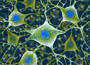 graphene electrodes in neurons