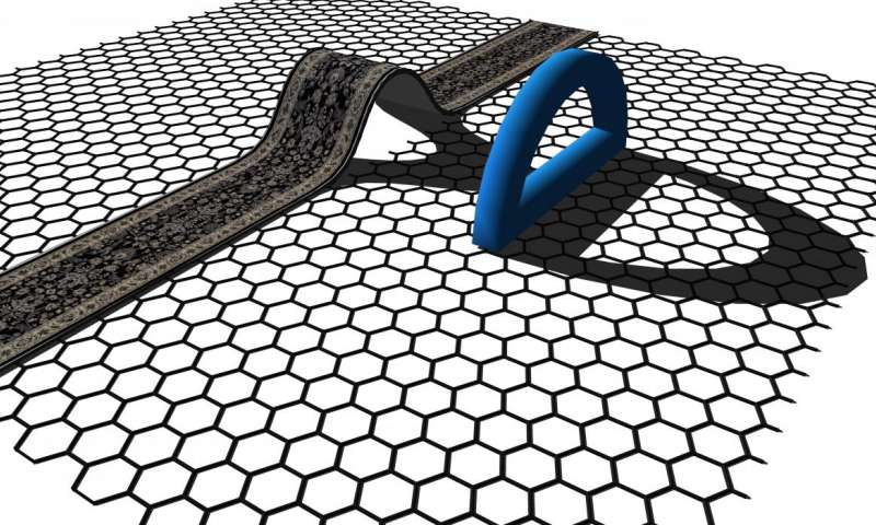 Formation of D-shaped loops is due to the misfusion of PAN-based nanoribbons, according to a new theory