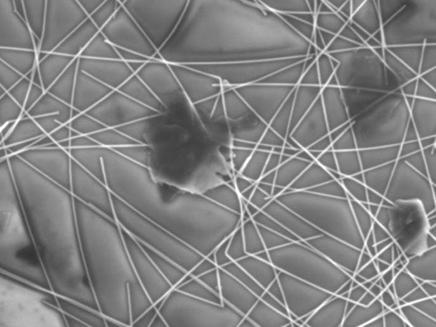 Graphene-silver nanowires