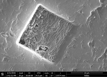 3D graphene has promised for bio applications