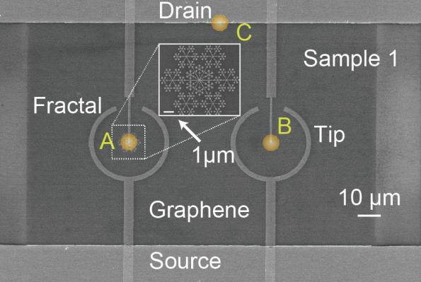 graphene photodetector