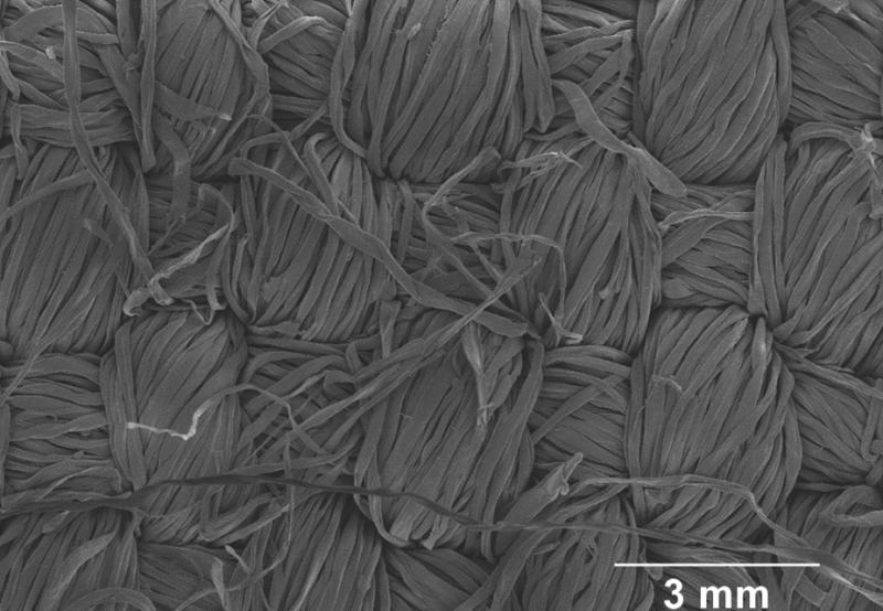 Electron microscope image of a conductive graphene in cotton fabric