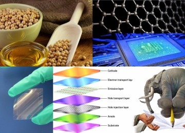 Scientists create graphene using soybean oil