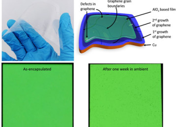 Graphene flexible OLED is the best solution of encapsulation OLED